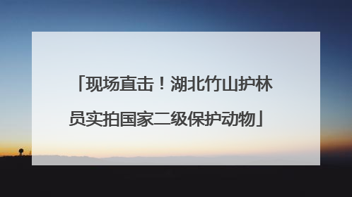 现场直击！湖北竹山护林员实拍国家二级保护动物