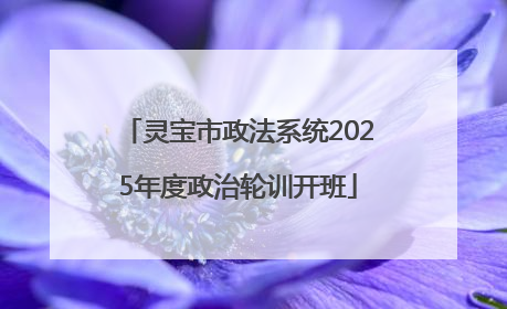 灵宝市政法系统2025年度政治轮训开班