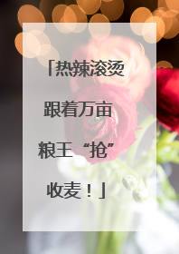 热辣滚烫 跟着万亩粮王“抢”收麦！