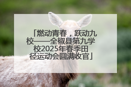燃动青春，跃动九校——全椒县第九学校2025年春季田径运动会圆满收官