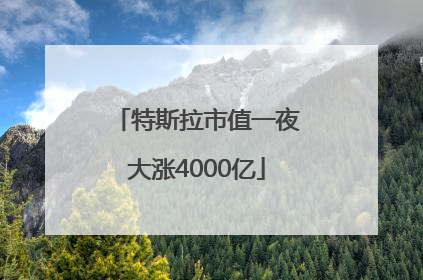 特斯拉市值一夜大涨4000亿