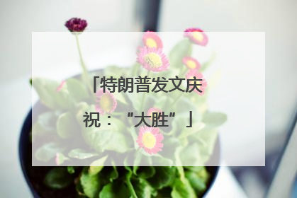 特朗普发文庆祝：“大胜”