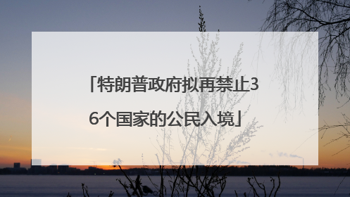特朗普政府拟再禁止36个国家的公民入境