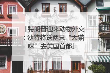 特朗普迎来动物外交：沙特将送两只“大猫咪”去美国首都