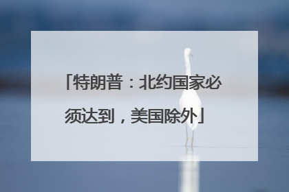 特朗普：北约国家必须达到，美国除外