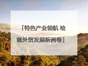 特色产业领航 绘就外贸发展新画卷