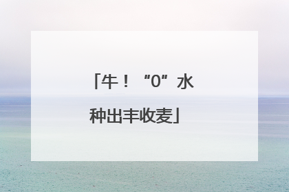 牛！“0”水种出丰收麦