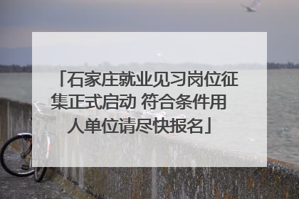 石家庄就业见习岗位征集正式启动 符合条件用人单位请尽快报名