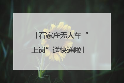 石家庄无人车“上岗”送快递啦