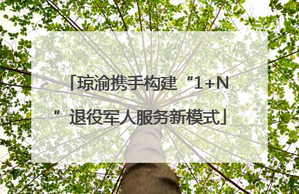 琼渝携手构建“1+N”退役军人服务新模式