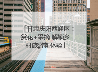 甘肃庆阳西峰区：赏花+采摘 解锁乡村旅游新体验