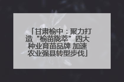 甘肃榆中：聚力打造“榆苗陇萃”四大种业育苗品牌 加速农业强县转型步伐