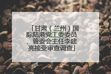 甘肃（兰州）国际陆港党工委委员、管委会主任李建亮接受审查调查