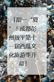 甜一“夏”！成都彭州敖平第十一届西瓜文化旅游季开幕