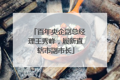 百年央企副总经理王秀峰，履新直辖市副市长