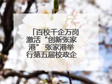 百校千企万岗激活“创新张家港” 张家港举行第五届校政企联盟合作大会