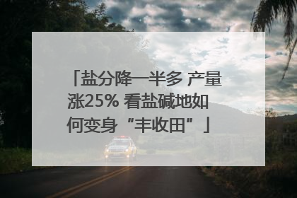 盐分降一半多 产量涨25% 看盐碱地如何变身“丰收田”