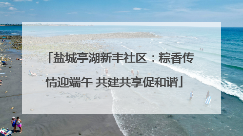 盐城亭湖新丰社区：粽香传情迎端午 共建共享促和谐