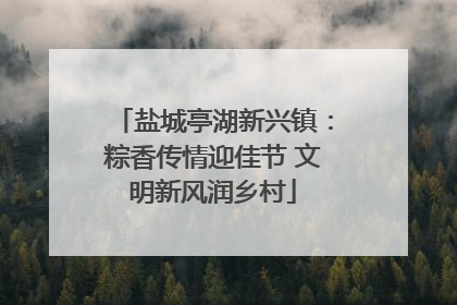 盐城亭湖新兴镇：粽香传情迎佳节 文明新风润乡村