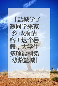 盐城学子邀同学来家乡 政府请客！这个暑假，大学生多项福利免费游盐城