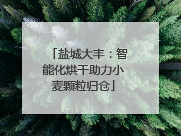 盐城大丰：智能化烘干助力小麦颗粒归仓