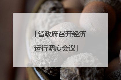 省政府召开经济运行调度会议