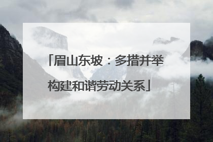 眉山东坡：多措并举构建和谐劳动关系