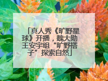 真人秀《旷野星球》开播，魏大勋王安宇组“旷野搭子”探索自然