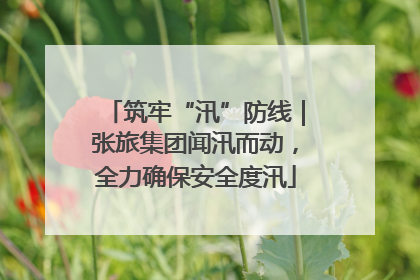 筑牢“汛”防线｜张旅集团闻汛而动，全力确保安全度汛