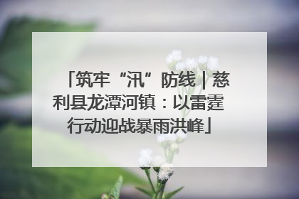 筑牢“汛”防线｜慈利县龙潭河镇：以雷霆行动迎战暴雨洪峰