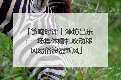 筝鸣时评丨潍坊昌乐：一场集体婚礼吹动移风易俗浪漫新风