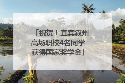 祝贺！宜宾叙州高场职校4名同学获得国家奖学金