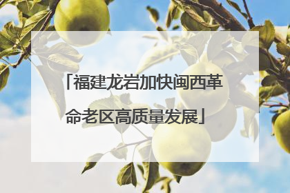 福建龙岩加快闽西革命老区高质量发展
