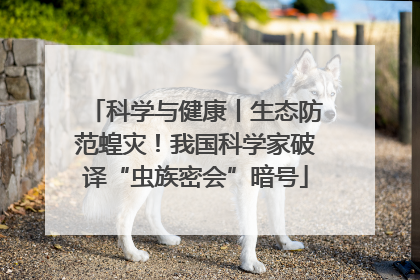 科学与健康丨生态防范蝗灾！我国科学家破译“虫族密会”暗号