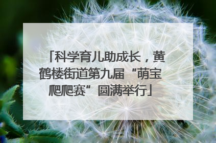 科学育儿助成长，黄鹤楼街道第九届“萌宝爬爬赛”圆满举行