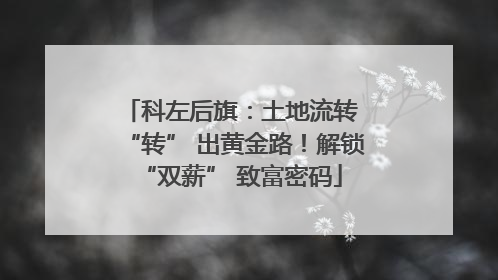 科左后旗：土地流转 “转” 出黄金路！解锁 “双薪” 致富密码