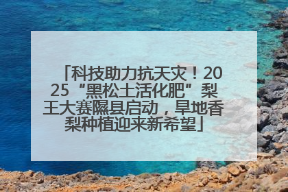 科技助力抗天灾！2025“黑松土活化肥”梨王大赛隰县启动，旱地香梨种植迎来新希望