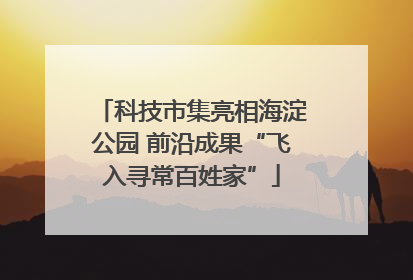 科技市集亮相海淀公园 前沿成果“飞入寻常百姓家”