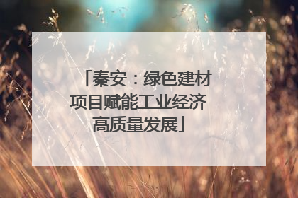 秦安：绿色建材项目赋能工业经济高质量发展