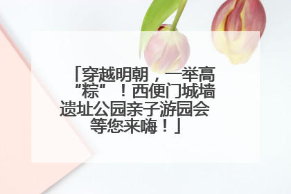穿越明朝，一举高“粽”！西便门城墙遗址公园亲子游园会等您来嗨！