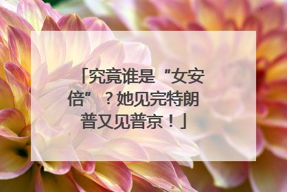 究竟谁是“女安倍”？她见完特朗普又见普京！