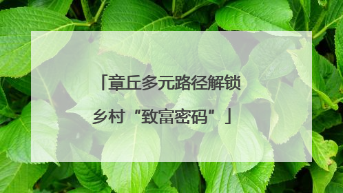 章丘多元路径解锁乡村“致富密码”