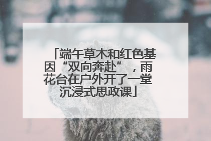 端午草木和红色基因“双向奔赴”，雨花台在户外开了一堂沉浸式思政课
