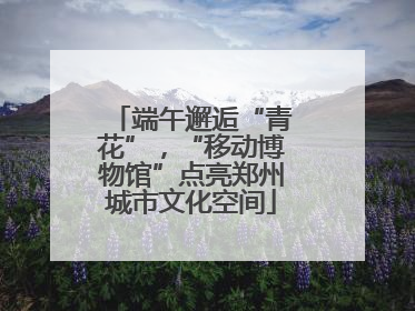 端午邂逅“青花”，“移动博物馆”点亮郑州城市文化空间