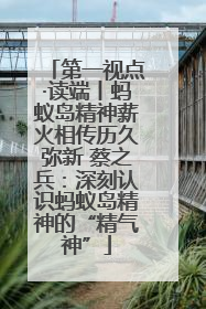 第一视点·读端丨蚂蚁岛精神薪火相传历久弥新 蔡之兵：深刻认识蚂蚁岛精神的“精气神”