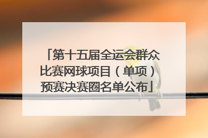 第十五届全运会群众比赛网球项目（单项）预赛决赛圈名单公布