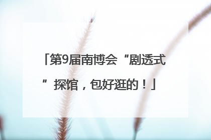 第9届南博会“剧透式”探馆，包好逛的！