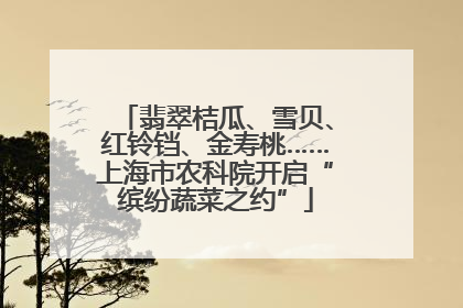 翡翠桔瓜、雪贝、红铃铛、金寿桃……上海市农科院开启“缤纷蔬菜之约”