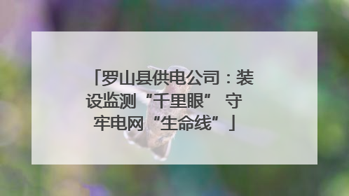 罗山县供电公司：装设监测“千里眼” 守牢电网“生命线”