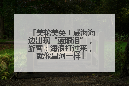 美轮美奂！威海海边出现“蓝眼泪”，游客：海浪打过来，就像星河一样